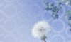 Fujitsu Dandelion.jpg